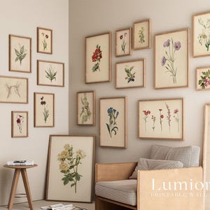 May include: A collection of framed botanical prints in various sizes, featuring detailed illustrations of flowers in shades of red, purple, white, and blue. The prints are displayed on a neutral-colored wall, creating a gallery-like arrangement.