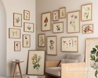 100+ Botanical Prints Set, Floral Wall Art Bundle, Botanical Drawings & Flower Sketches, Digital Download Gallery Wall Set, image 4