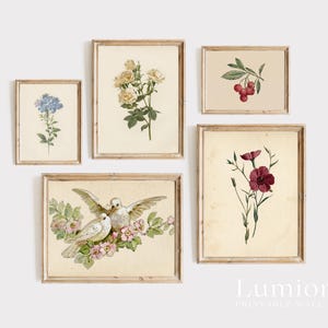100+ Botanical Prints Set, Floral Wall Art Bundle, Botanical Drawings & Flower Sketches, Digital Download Gallery Wall Set image 9