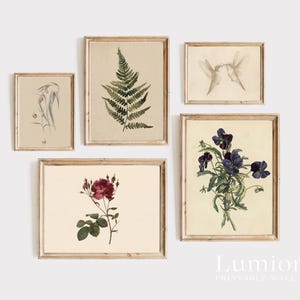 100+ Botanical Prints Set, Floral Wall Art Bundle, Botanical Drawings & Flower Sketches, Digital Download Gallery Wall Set image 15