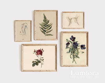 100+ Botanical Prints Set, Floral Wall Art Bundle, Botanical Drawings & Flower Sketches, Digital Download Gallery Wall Set, image 16