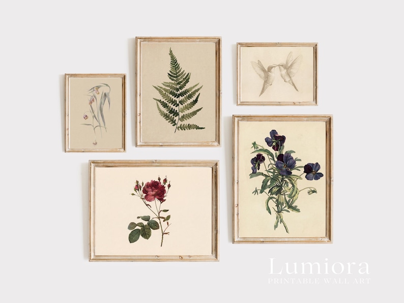 100+ Botanical Prints Set, Floral Wall Art Bundle, Botanical Drawings & Flower Sketches, Digital Download Gallery Wall Set image 15