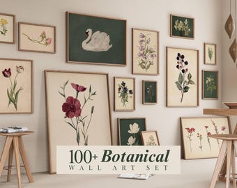100+ Botanical Bundle Set, Floral Wall Art Bundle, Botanical Drawings & Flower Sketches, Digital Download Gallery Wall Set, image 1