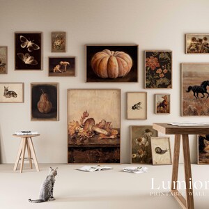 Puede incluir: Una colecci&oacute;n de l&aacute;minas de arte enmarcadas en una pared, con ilustraciones de tem&aacute;tica natural que incluyen una calabaza, una seta, un caballo, un zorro, un caracol, una rana, polillas y elementos bot&aacute;nicos, en un entorno de tonos neutros.