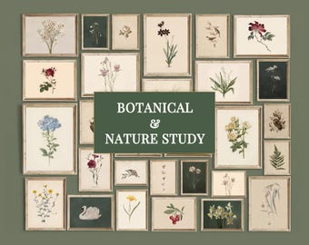 850+ Vintage Print Bundle, Antique Wall Art Set, Rustic Gallery Set, French Country Decor, Cottagecore Prints, image 10