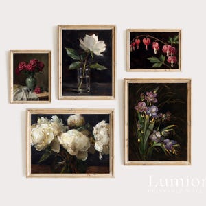 Puede incluir: Una colecci&oacute;n de cinco impresiones art&iacute;sticas florales enmarcadas. Las impresiones presentan varias flores, incluyendo rosas, peon&iacute;as e iris, en un estilo vintage. La paleta de colores incluye tonos de rojo, blanco, morado y verde sobre un fondo oscuro.