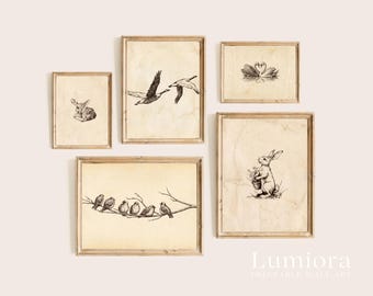 120+ Vintage Sketch Wall Art Set, Minimalist Sketch Print, Antique Sketches, European Sketch, Botanical Sketch, Portrait Sketch Gallery, image 16