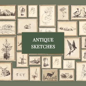 May include: A collection of framed antique sketches, featuring various drawings of landscapes, animals, and figures. The artwork is displayed on a green background, with the text "ANTIQUE SKETCHES" in a dark green rectangle.