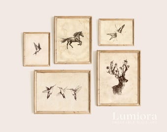 120+ Vintage Sketch Wall Art Set, Minimalist Sketch Print, Antique Sketches, European Sketch, Botanical Sketch, Portrait Sketch Gallery, image 17