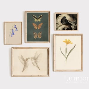 100+ Botanical Prints Set, Floral Wall Art Bundle, Botanical Drawings & Flower Sketches, Digital Download Gallery Wall Set image 10