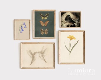 100+ Botanical Prints Set, Floral Wall Art Bundle, Botanical Drawings & Flower Sketches, Digital Download Gallery Wall Set, image 11