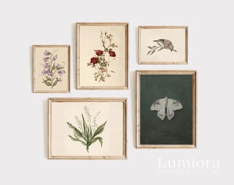 100+ Botanical Prints Set, Floral Wall Art Bundle, Botanical Drawings & Flower Sketches, Digital Download Gallery Wall Set, image 12