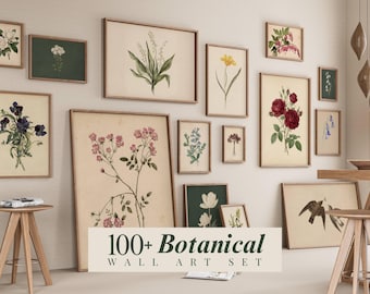 Ensemble de plus de 100 fleurs, lot d'oeuvres d'art mural botanique, ensemble mural de galerie de téléchargement numérique