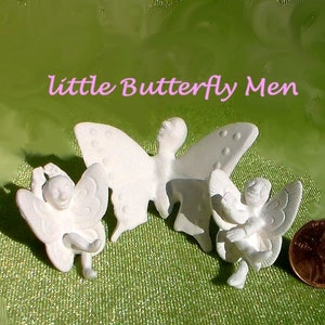 Miniatura Mariposa Hombres Hada Jardín Fantasía Insectos