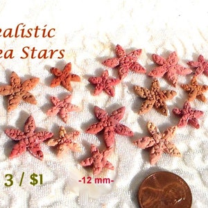 Miniature Sea Stars Starfish Realistic Polymer Clay