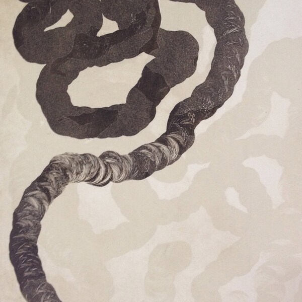 Abstract Fine Art Print: In Line 2