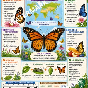 Butterfly Facts Printable, Educational Butterfly Fact Sheet, Life Cycle Worksheet, Insect Science Poster, Homeschool Nature Study, Classroom