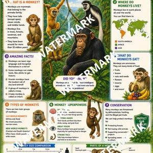 May include: An educational poster titled MONKEYS AMAZING ANIMALS OF THE JUNGLE featuring illustrations of various monkey species, a world map, and informative text sections about monkey biology, habitats, diet, and conservation efforts.