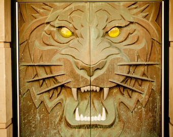 Detroit Tigers - Comerica Park Photographic Print