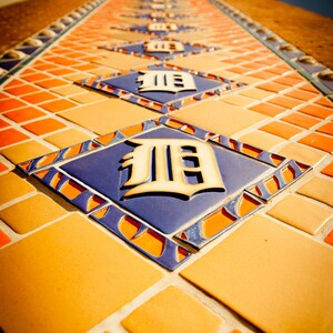 Detroit Tigers - Comerica Park Photographic Print