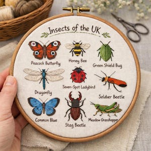 May include: An embroidered hoop displaying various insects, such as a peacock butterfly, honey bee, and dragonfly, with the text "Insects of the UK". The hoop is held by a hand. The embroidery is in a wooden hoop.