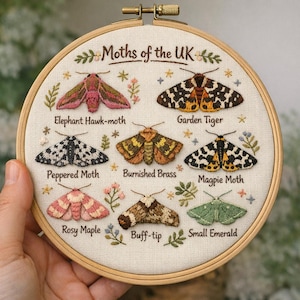 Könnte beinhalten: Gestickter Stickrahmen mit sieben britischen Nachtfalterarten, darunter der Windenschwärmer und der Tigermoth. Der Text "Moths of the UK" steht oben. Jeder Falter ist mit detaillierten Flügeln und Farben auf cremefarbenem Stoff aufwendig gestickt.
