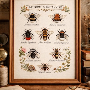 May include: A framed embroidery depicting various bee species, labelled with scientific names and the text "APIFORMES BRITANNIAE". The artwork includes detailed depictions of bees, flowers, and foliage, all within a wooden frame. The background is a neutral linen fabric.