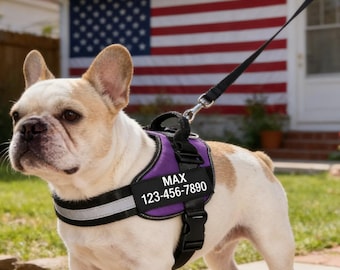 Personalized No-Pull Dog Harness, Reflective Padded Vest for Training Walks