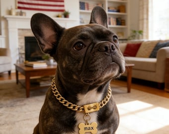 Collar de perro de acero inoxidable dorado personalizado, placa de identificación de lujo pesada