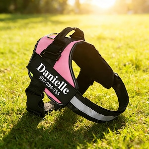 Arnés antitirones personalizado para perros, chaleco acolchado reflectante para paseos de entrenamiento