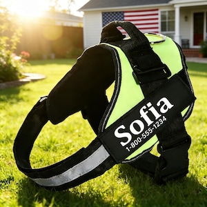 Op de afbeelding: Een zwart en neon groen hondentuigje met de naam "Sofia" en een telefoonnummer op een zwart label. Het tuigje heeft reflecterende strips en een metalen ring voor het bevestigen van de lijn. De achtergrond toont een huis en groen gras.