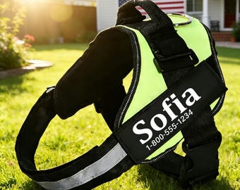 Arnés antitirones personalizado de 5 colores para perros, chaleco acolchado reflectante para paseos de entrenamiento.