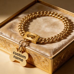 Op de afbeelding: Een goudkleurige hondenriem met een dik kettingontwerp en een rechthoekige sluiting. Een botvormig label met de woorden "custom name" is bevestigd. De halsband wordt gepresenteerd in een gouden doos met een fluwelen binnenkant.