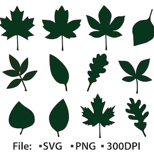 May include: Dark green leaf silhouettes in various shapes and sizes, including maple, oak, and other leaf types, are arranged on a white background. The image includes the text "File: -SVG -PNG -300DPI".