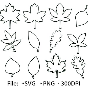 May include: A collection of twelve outline drawings of various leaf shapes in dark green. The leaves include maple, oak, and other types, with stems. The image also includes the text "File: -SVG -PNG - 300DPI".