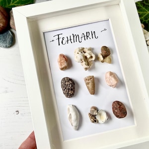 Puede incluir: Una obra de arte enmarcada en blanco que presenta una colección de pequeños objetos naturales. La disposición incluye varias piedras, conchas y coral, con la palabra "Fehmarn" escrita en escritura negra. Los objetos son en tonos marrones, beige y blancos.