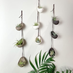 Hanging Air Plant Holder, Air Plant Holder, Planters, Wall Hanging