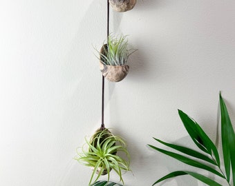 variegated  Hanging Air Plant Holder, Air Plant Holder, Planters, Wall Hanging