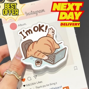 以下が含まれることがあります： 「I'm ok!」の文字が入った、漫画の猫のステッカー。猫はノートパソコンとコーヒーカップのある机にいます。ステッカーは、Instagramのブランドが入ったカードに貼られており、「Best Offer」と「Next Day Delivery」の文字があります。