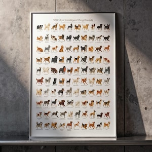 Op de afbeelding: Een ingelijste poster met de titel "100 Meest Intelligente Hondenrassen" met illustraties van verschillende hondenrassen. De poster heeft een witte achtergrond met de hondenillustraties in een rasterindeling. De lijst is zilver.
