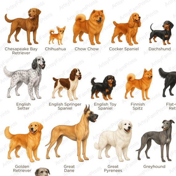 A Chart Of The Top 100 Dog Breeds Dog Breeds Chart Dog 354x500