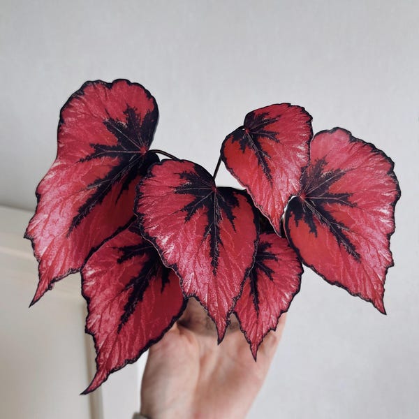 Handmade Faux Begonia, Red Black Gothic Decor, Artificial Plant in Silver Pot, Realistic Paper Leaves, Edgy Desktop Art Gift