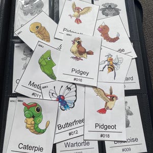 Pu&ograve; includere: Una collezione di carte collezionabili rettangolari con illustrazioni colorate di varie creature, ognuna etichettata con un nome e un numero. Le carte sono disposte in una custodia trasparente per raccoglitore, mostrando personaggi come Caterpie, Pidgey e Pidgeot.
