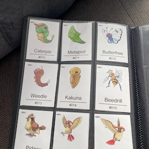 Pu&ograve; includere: Una pagina di raccoglitore nera contenente nove carte collezionabili bianche disposte in una griglia. Ogni carta presenta un'illustrazione colorata di una creatura di Generazione 1, il suo nome e numero, inclusi Caterpie, Metapod, Butterfree, Weedle, Kakuna, Beedrill, Pidgey, Pidgeotto e Pidgeot.