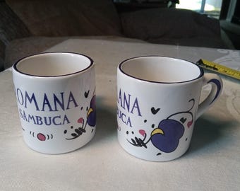 Set of 2 Romana Sambuca Porcelain Espresso Cups - Mugs Deruta Italy