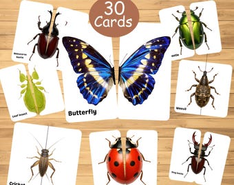 Insect Matching Game: 30 Toddler Puzzles, Montessori Activity (PDF Pattern)