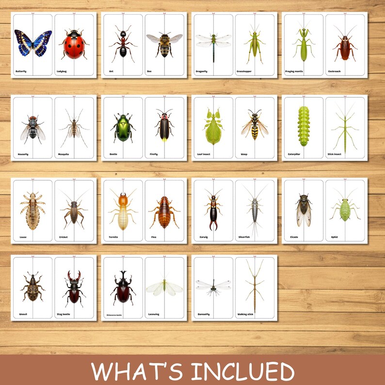 Insect Matching Game: 30 Toddler Puzzles, Montessori Activity (PDF ...