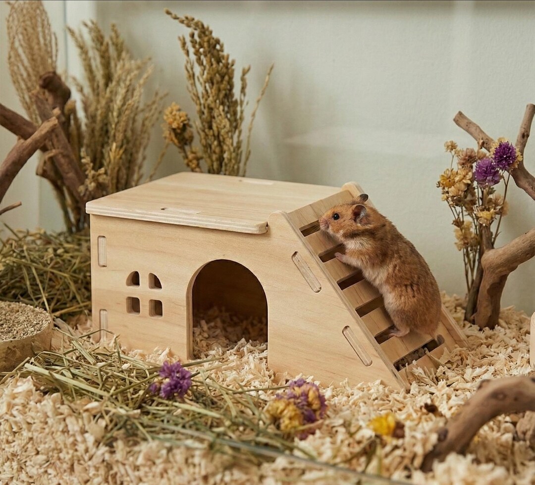 Curated visual reference: Visual Reference: DIY Hamster House Kit Wooden Small Pet Hideout With Ramp