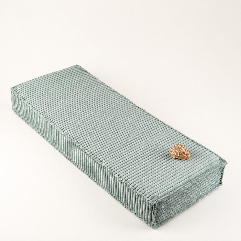 A light blue rectangular cushion with a small brown shell resting on top of it.