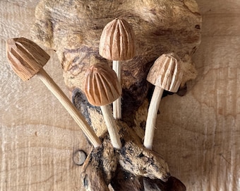 Wall Mushroom Carvings Small – Hand Carved Wooden Toadstool Wall Hanging Decor